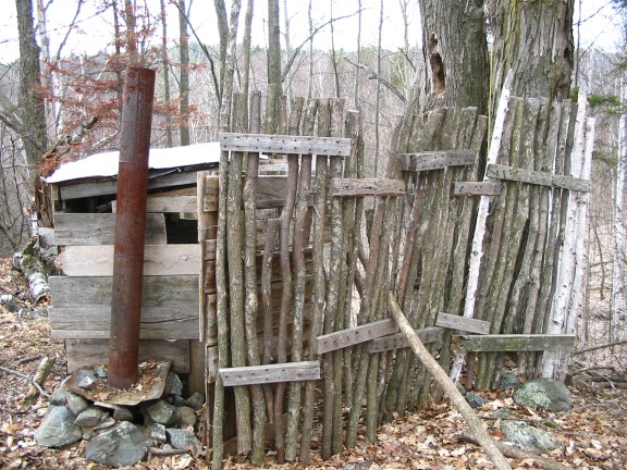 576x432 pixels (118K)